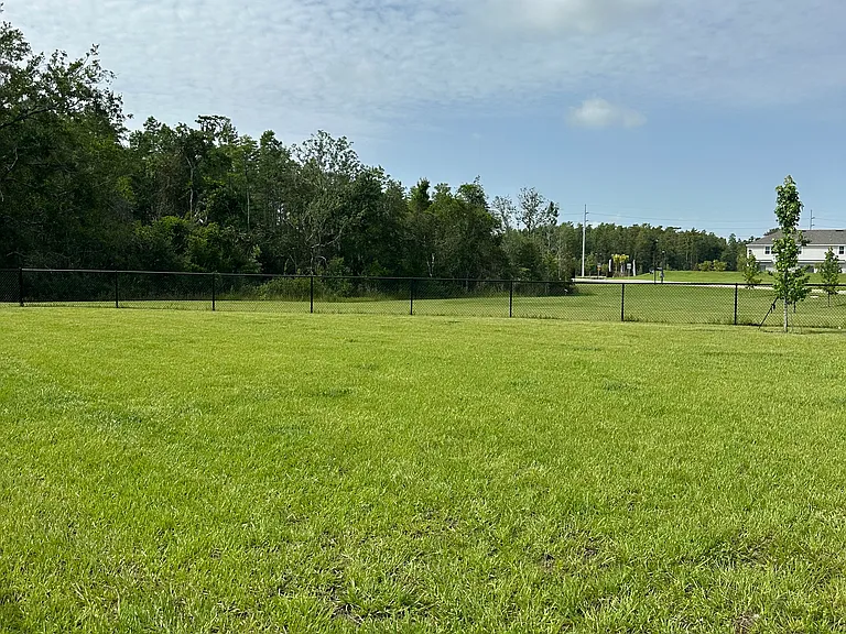 3137 Skyline Loop — Photo 14