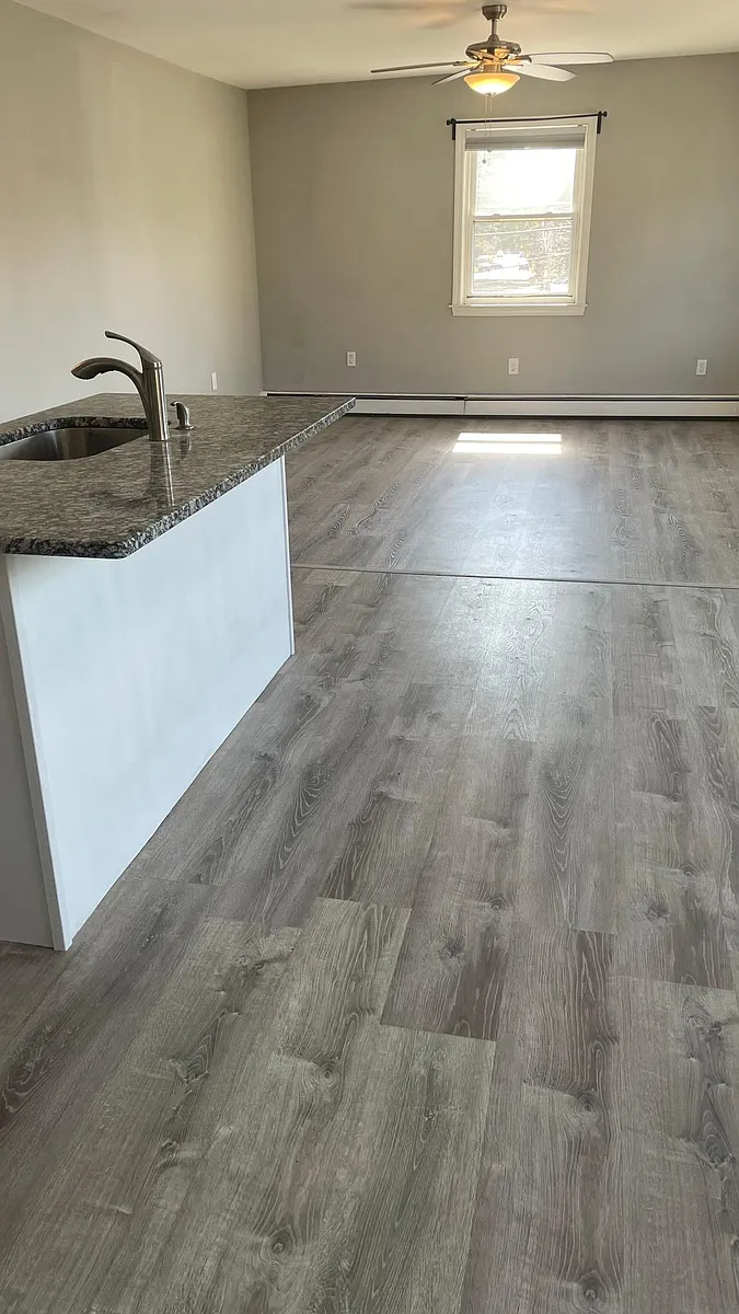 Kitchen looking into Living room - 11 Camden St #UTILINC