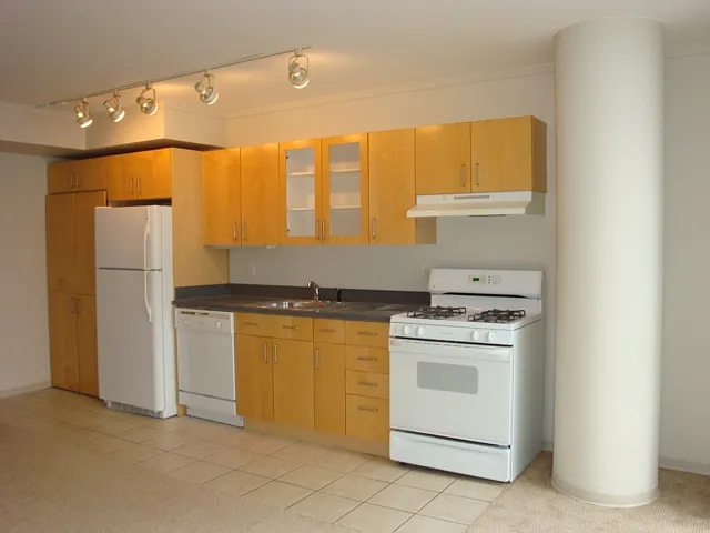 533 NE Holladay St #407 — Photo 5