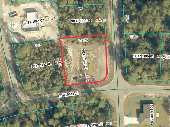 189 Fisher Ct, Ocklawaha, FL 32179