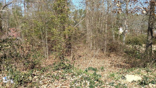 1st image of Lot 1B Old Draft Trail