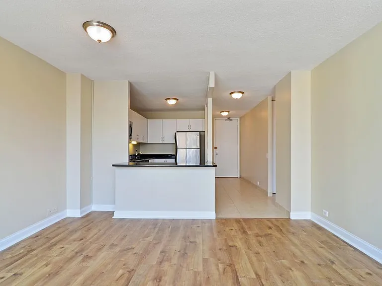 405 N Wabash Ave #3112 — Photo 3