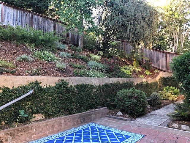 Maintained by professional gardeners.