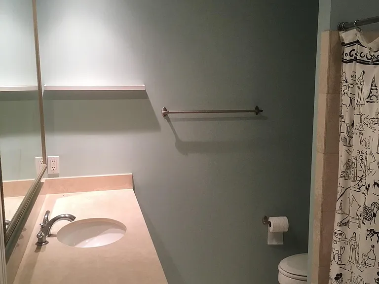 Master bathroom