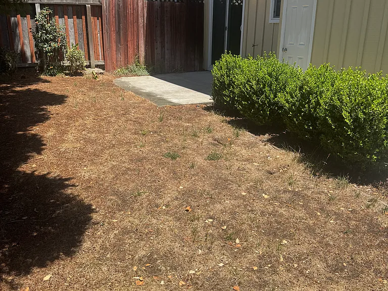 115 Christel Oaks Dr #A — Photo 24
