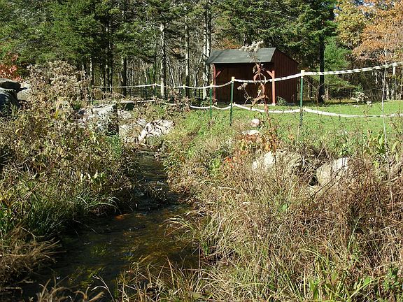 Brook and Horse Shed
