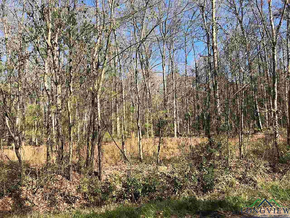 2nd image of Tbd Strickland Springs Rd