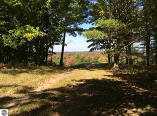 Bald Eagles Vw, South Boardman, MI 49680