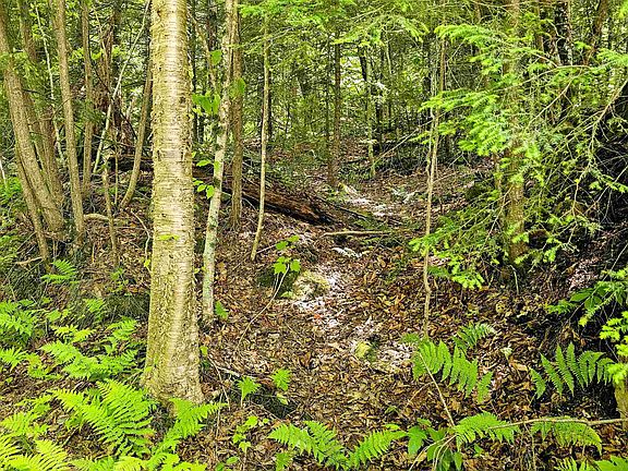 4th image of Smead Road