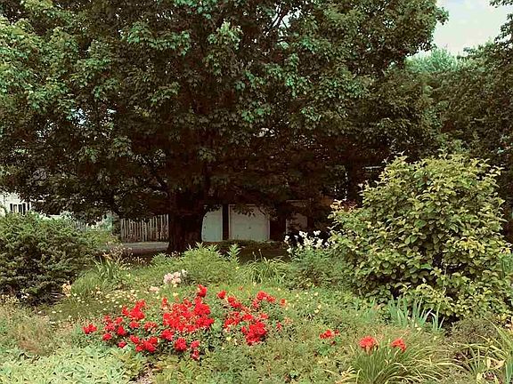 4th image of 116 Dandelion Ln