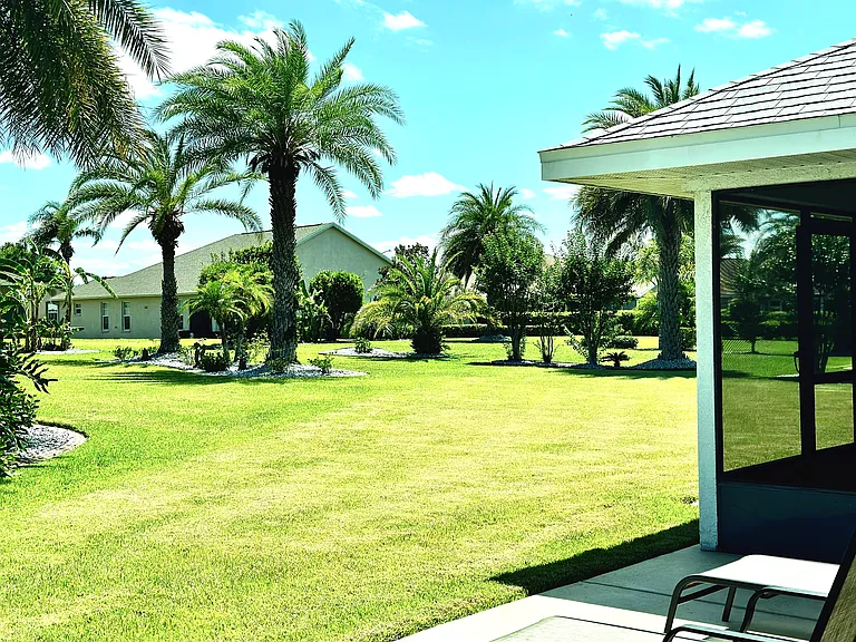 view from concrete patio