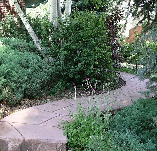 Pink pathway leading to entrance
