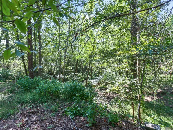 14066 Dogwood Trce, Saint Francisville, LA 70775