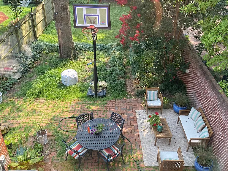 Back yard