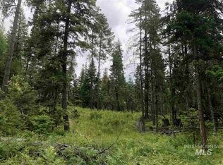 PARCEL 2 Bugle Rdg, Orofino, ID 83544