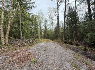 0 Bear Cave Rd, Muskoka Lakes, ON P0C 1J0