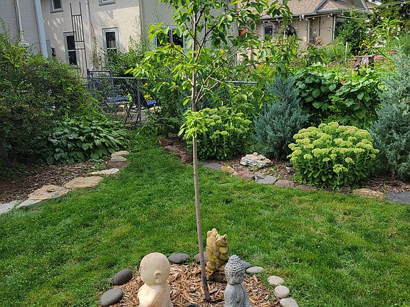 Sculpture garden in progress. :-)