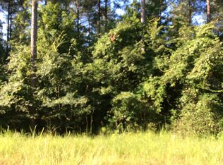 143 N Sugar Creek Rd, Buckhead, GA 30625