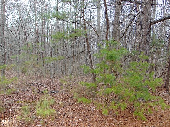 3rd image of 0 Fowlkes Rd Lot 13