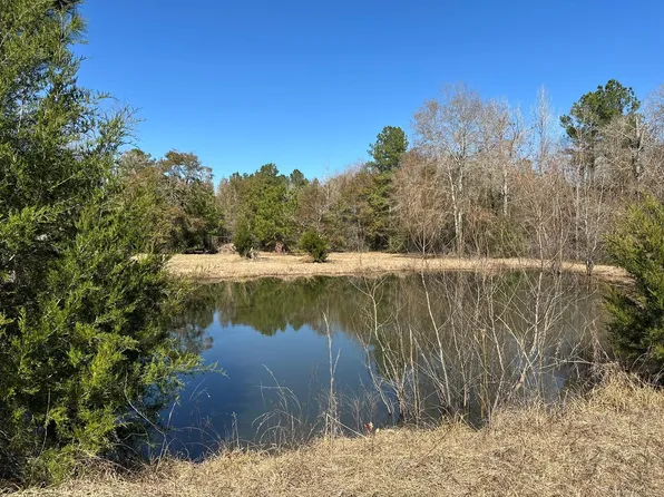 1335 Bird Road, Livingston, TX 77351