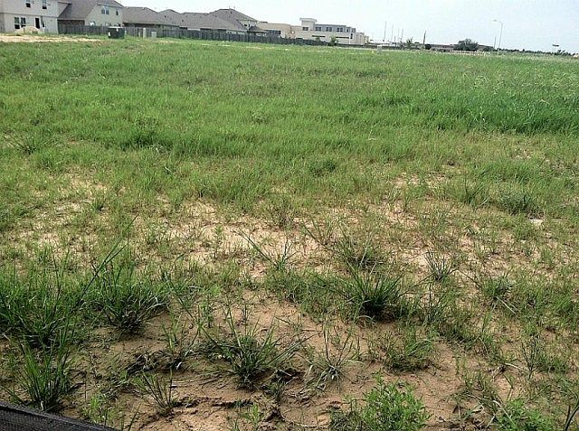 1st image of 209 Harbor Bend Ln