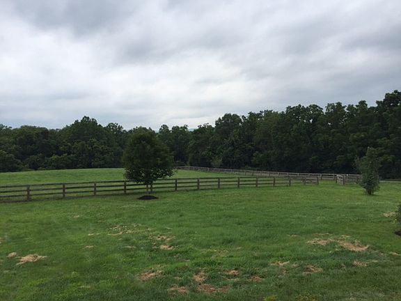 Horse Pasture