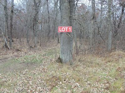 LOT 1 300th St, Saint Croix Falls, WI, 54024