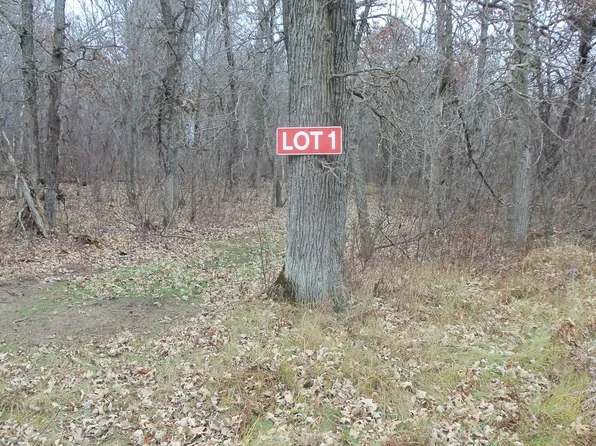 LOT 1 300th St, Saint Croix Falls, WI 54024