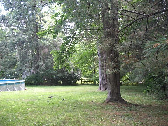 TOTALLY LEVEL PROPERTY