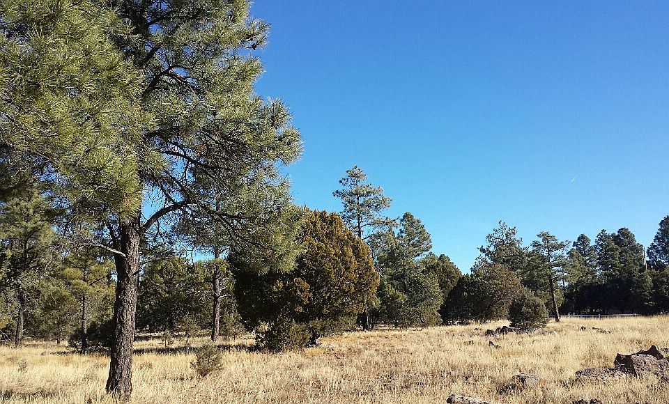 1st image of 0 W Coyote Dr 212-15-010 A