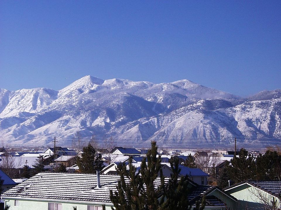 veiw from back porch