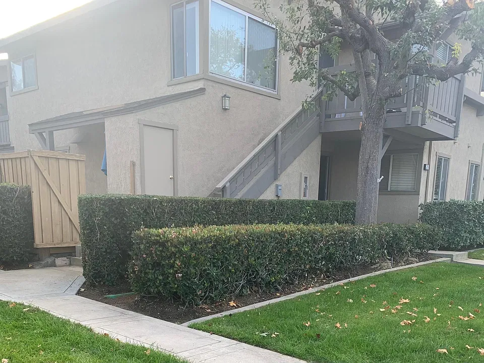 20 Clearbrook
