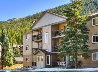 67 Peaks View Ct #203, Blue River, CO 80424