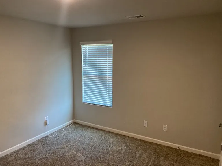 119 River Birch Ln — Photo 19