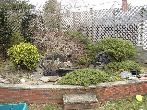 back yard pond