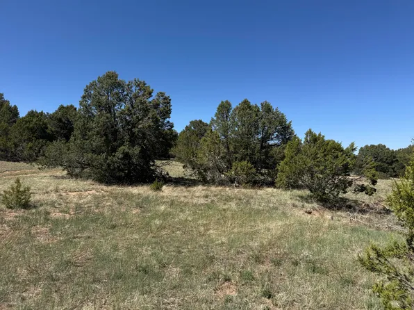3 Gonzales Rd, Edgewood, NM 87015