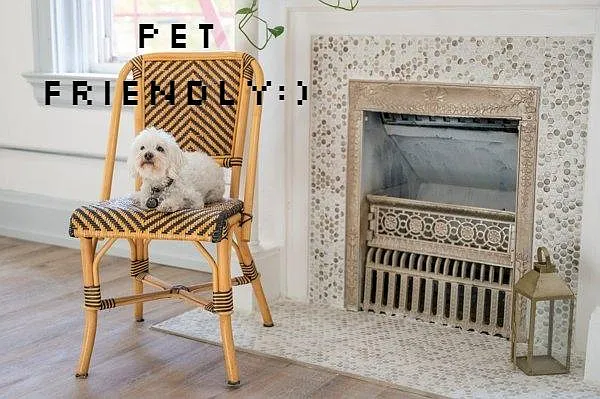 Woof Woof!