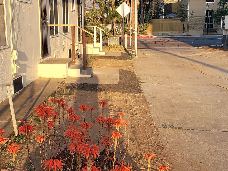 No parking alley fire lane