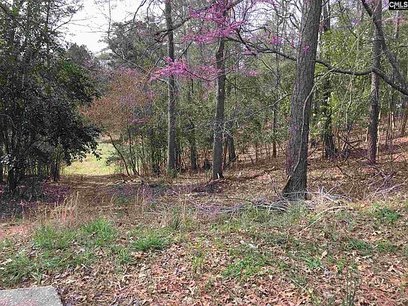 2nd image of 217 Corley Woods Dr