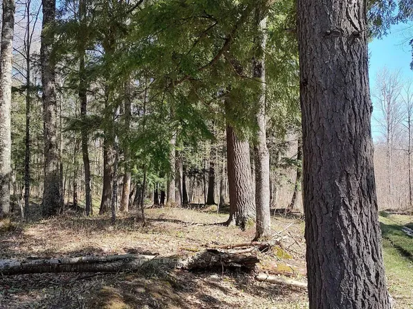 Tbd N Firesteel Rd, Greenland, MI 49929