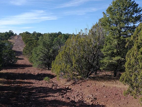 4th image of 31 County Road 3128