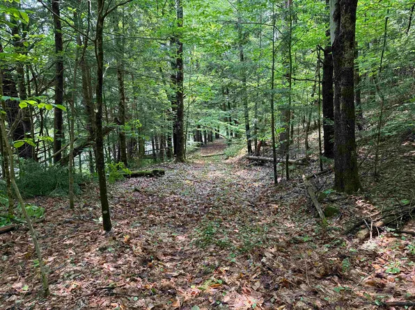 0 NH Route 120, Cornish, NH 03745