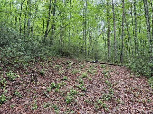 424 Todd Ln, White Sulphur Springs, WV 24986