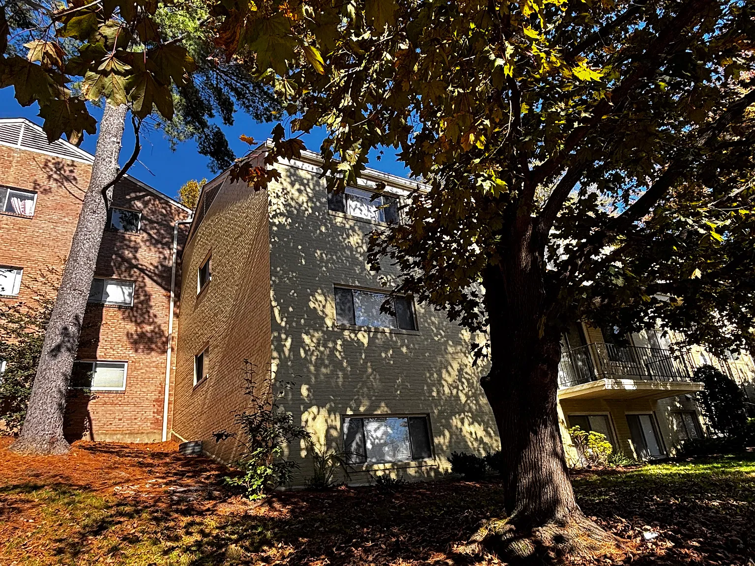 1 bed, 788 sqft, $1,900 — Photo 3