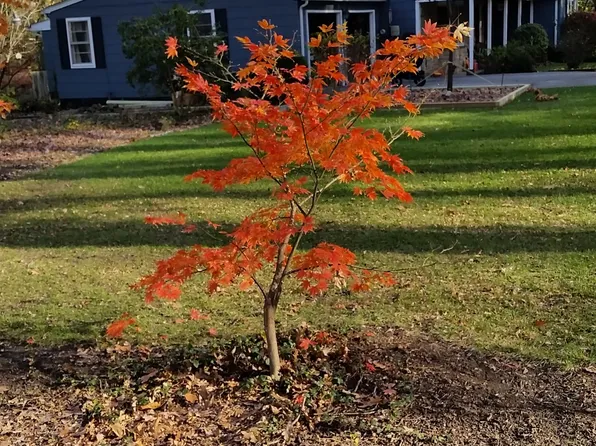 123 Woodlawn Ave, Baltimore, MD 21228