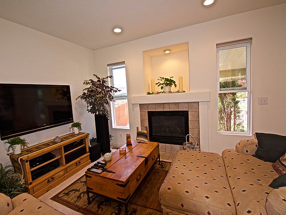 Gas Fireplace with Art Niche