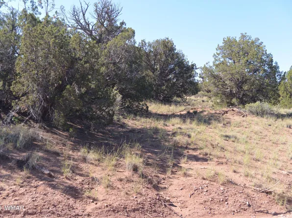 4211 S Sorrel Rd, Snowflake, AZ 85937