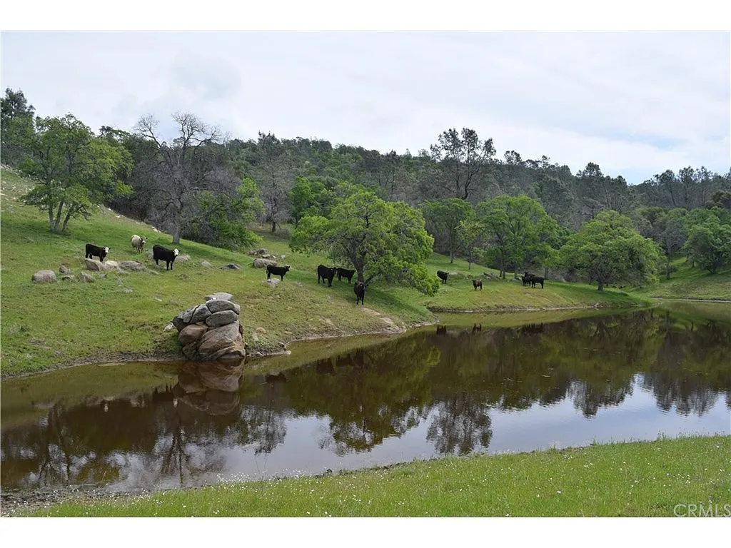 0 Road 810 photo 1