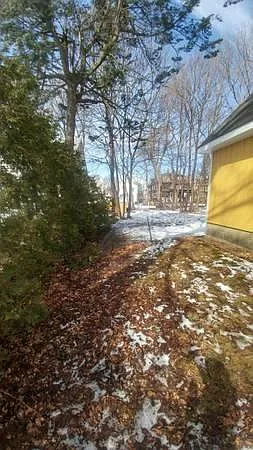 28 Brookes Ave #1 — Photo 28