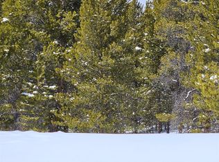 5229 Iron Hat, Leadville, CO 80461